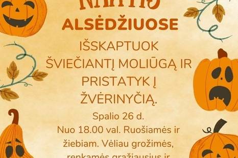 Oranžinė naktis Alsėdžiuose