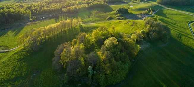  Šarnelės piliakalnis su gyvenviete